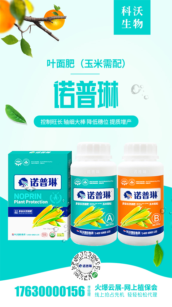 2020-5-1河北地区玉米价格出厂报价一览 2020-5-1河北地区玉米价格出厂报价一览