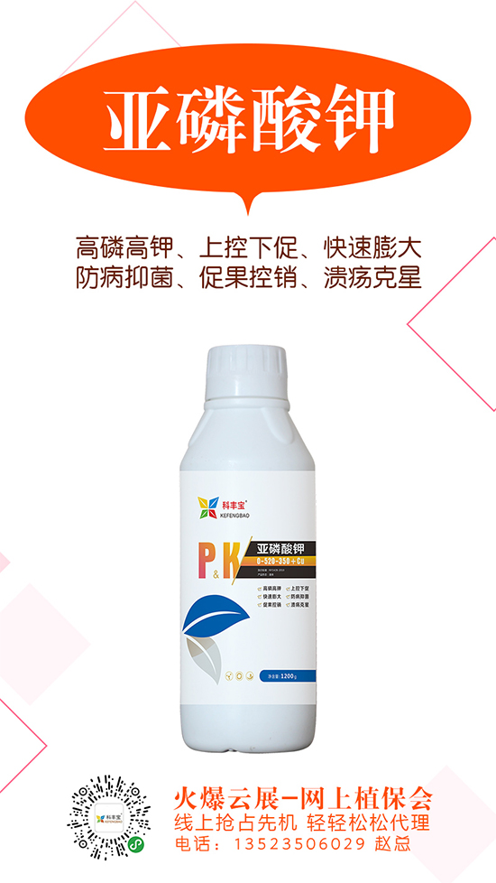2020-5-21硫酸钾主流出厂报价一览 2020-5-21硫酸钾主流出厂报价一览